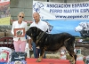 Filename=mejor_veterana_duquesa.jpg
Filesize=113KiB
Dimensions=1000x723
Date added=%897 %05, %2015 mejor_veterana_duquesa.jpg