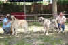 Filename=mejormachohembra.jpg
Filesize=208KiB
Dimensions=750x500
Date added=%605 %16, %2006 mejormachohembra.jpg