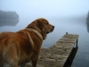 Filename=mgła_JPG.jpg
Filesize=68KiB
Dimensions=600x450
Date added=%545 %08, %2008 mgła_JPG.jpg