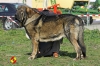 Filename=milano1.jpg
Filesize=121KiB
Dimensions=960x640
Date added=%792 %23, %2014 milano1.jpg