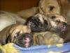Filename=miotg2.jpg
Filesize=19KiB
Dimensions=500x375
Date added=%727 %26, %2008 miotg2.jpg