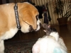 Filename=ml%2C.jpg
Filesize=84KiB
Dimensions=756x567
Date added=%661 %18, %2009 ml%2C.jpg