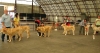 Filename=moloss09-young_females,,.jpg
Filesize=135KiB
Dimensions=909x482
Date added=%857 %17, %2009 moloss09-young_females,,.jpg