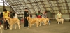Filename=moloss09-young_females,.jpg
Filesize=183KiB
Dimensions=1010x482
Date added=%858 %17, %2009 moloss09-young_females,.jpg