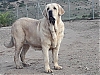 Filename=mompia.jpg
Filesize=146KiB
Dimensions=960x720
Date added=%521 %04, %2020 mompia.jpg