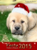 Filename=montes_del_pardo_xmas14.jpg
Filesize=22KiB
Dimensions=296x394
Date added=%749 %18, %2014 montes_del_pardo_xmas14.jpg