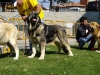 Filename=morita.jpg
Filesize=160KiB
Dimensions=1100x825
Date added=%797 %19, %2007 morita.jpg