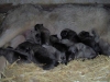 Filename=movil1_025.jpg
Filesize=29KiB
Dimensions=640x480
Date added=%669 %07, %2008 movil1_025.jpg