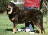 Filename=muza.jpg
Filesize=38KiB
Dimensions=400x299
Date added=%453 %29, %2006 muza.jpg