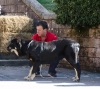 Filename=nala_de_la_carpinteria.jpg
Filesize=157KiB
Dimensions=1000x898
Date added=%016 %04, %2015 nala_de_la_carpinteria.jpg