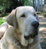 Filename=narranco3hoved.jpg
Filesize=43KiB
Dimensions=564x600
Date added=%545 %11, %2006 narranco3hoved.jpg