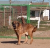 Filename=navarro2.jpg
Filesize=80KiB
Dimensions=800x766
Date added=%760 %03, %2006 navarro2.jpg