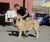 Filename=nell_de_toranzo__.jpg
Filesize=135KiB
Dimensions=1000x844
Date added=%650 %05, %2015 nell_de_toranzo__.jpg
