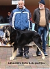 Filename=neru_del_picu_san_martin.jpg
Filesize=102KiB
Dimensions=709x960
Date added=%911 %12, %2019 neru_del_picu_san_martin.jpg