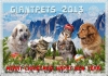 Filename=new_year_2013_giantpets.jpg
Filesize=133KiB
Dimensions=900x636
Date added=%478 %26, %2012 new_year_2013_giantpets.jpg