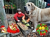 Filename=nikol_fee.jpg
Filesize=224KiB
Dimensions=1440x1080
Date added=%048 %01, %2021 nikol_fee.jpg