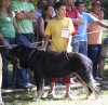 Filename=no107.jpg
Filesize=73KiB
Dimensions=800x783
Date added=%875 %25, %2006 no107.jpg