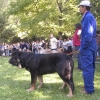 Filename=no23-a.jpg
Filesize=118KiB
Dimensions=800x800
Date added=%524 %29, %2006 no23-a.jpg