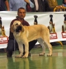 Filename=no4curro.jpg
Filesize=39KiB
Dimensions=577x600
Date added=%473 %16, %2006 no4curro.jpg