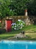Filename=noa.jpg
Filesize=119KiB
Dimensions=720x960
Date added=%606 %14, %2013 noa.jpg