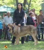 Filename=nogal_de_reguera.jpg
Filesize=119KiB
Dimensions=843x960
Date added=%029 %27, %2014 nogal_de_reguera.jpg