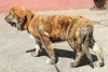 Filename=nonia.jpg
Filesize=125KiB
Dimensions=960x645
Date added=%507 %20, %2019 nonia.jpg