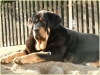 Filename=nora-fuentemimbre.jpg
Filesize=165KiB
Dimensions=646x486
Date added=%782 %29, %2012 nora-fuentemimbre.jpg