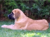 Filename=norton070707029mb2.jpg
Filesize=393KiB
Dimensions=640x480
Date added=%906 %05, %2008 norton070707029mb2.jpg