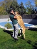 Filename=norton1007030kx8.jpg
Filesize=338KiB
Dimensions=426x568
Date added=%930 %05, %2008 norton1007030kx8.jpg