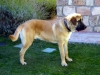 Filename=norton1007036go7.jpg
Filesize=304KiB
Dimensions=568x426
Date added=%930 %05, %2008 norton1007036go7.jpg