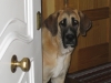 Filename=norton1007040ng0.jpg
Filesize=203KiB
Dimensions=567x426
Date added=%929 %05, %2008 norton1007040ng0.jpg