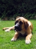 Filename=norton4yy4.jpg
Filesize=429KiB
Dimensions=525x700
Date added=%924 %05, %2008 norton4yy4.jpg