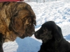 Filename=noses.jpg
Filesize=50KiB
Dimensions=839x630
Date added=%848 %03, %2009 noses.jpg