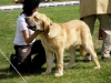 Filename=nv08-amie3.jpg
Filesize=100KiB
Dimensions=800x600
Date added=%405 %27, %2008 nv08-amie3.jpg
