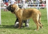 Filename=nv08-aragon1.jpg
Filesize=109KiB
Dimensions=766x550
Date added=%412 %27, %2008 nv08-aragon1.jpg