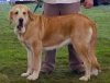 Filename=nvmb09-abonni4.jpg
Filesize=53KiB
Dimensions=716x550
Date added=%824 %21, %2009 nvmb09-abonni4.jpg