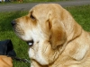Filename=nvmb09-amie4.jpg
Filesize=68KiB
Dimensions=733x550
Date added=%821 %21, %2009 nvmb09-amie4.jpg