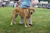 Filename=nvpmb-i-allivia.jpg
Filesize=24KiB
Dimensions=400x266
Date added=%840 %29, %2007 nvpmb-i-allivia.jpg