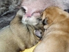 Filename=o-3dny-fena.jpg
Filesize=78KiB
Dimensions=733x550
Date added=%388 %27, %2007 o-3dny-fena.jpg