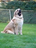 Filename=oct10%2C2004-054.jpg
Filesize=20KiB
Dimensions=360x480
Date added=%716 %17, %2006 oct10%2C2004-054.jpg