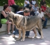 Filename=oda.jpg
Filesize=55KiB
Dimensions=800x721
Date added=%972 %21, %2006 oda.jpg