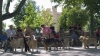 Filename=open-females3.jpg
Filesize=72KiB
Dimensions=900x505
Date added=%940 %21, %2006 open-females3.jpg