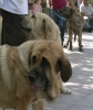 Filename=open-females5.jpg
Filesize=49KiB
Dimensions=678x800
Date added=%974 %21, %2006 open-females5.jpg