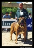 Filename=ordono.jpg
Filesize=57KiB
Dimensions=362x512
Date added=%953 %08, %2006 ordono.jpg