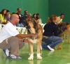 Filename=osito-truhan.jpg
Filesize=52KiB
Dimensions=800x739
Date added=%331 %04, %2006 osito-truhan.jpg