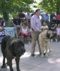Filename=oso-ron.jpg
Filesize=60KiB
Dimensions=677x800
Date added=%473 %19, %2006 oso-ron.jpg