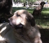 Filename=outside-a.jpg
Filesize=55KiB
Dimensions=800x704
Date added=%468 %29, %2006 outside-a.jpg