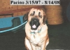 Filename=pacino-memorial.jpg
Filesize=21KiB
Dimensions=460x328
Date added=%946 %15, %2008 pacino-memorial.jpg