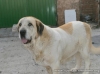 Filename=paloma~0.jpg
Filesize=38KiB
Dimensions=670x502
Date added=%714 %02, %2019 paloma~0.jpg