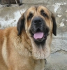 Filename=pando1.jpg
Filesize=66KiB
Dimensions=768x800
Date added=%003 %28, %2006 pando1.jpg